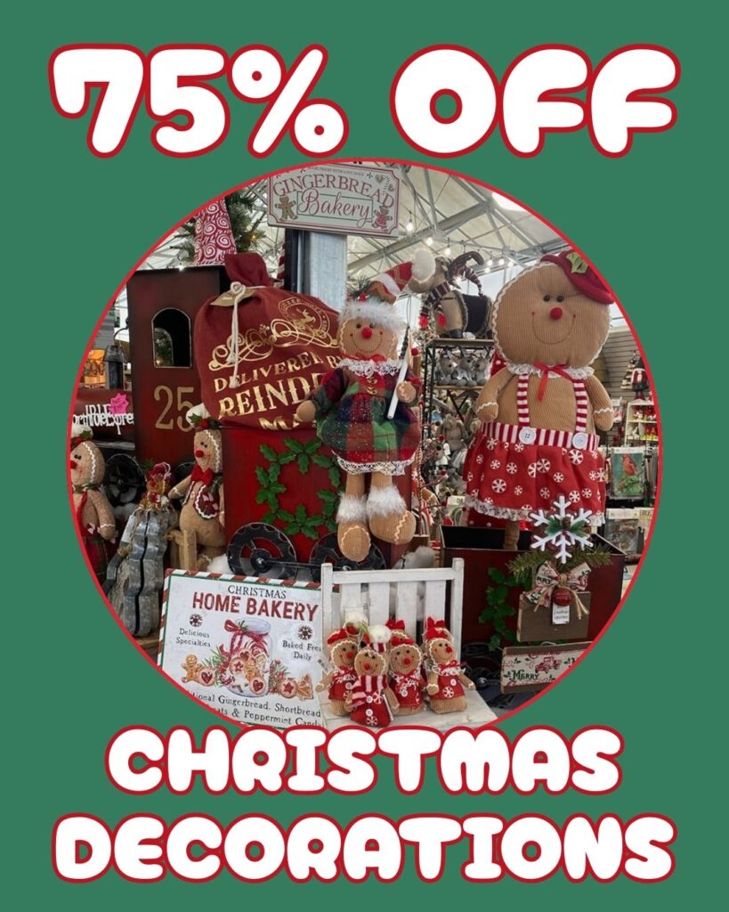 Christmas decorations clearance display at Thomas Greenhouse & Gardens with 75% off sign for January 2026 sale.